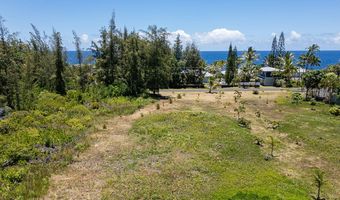 15-916 PARADISE ALA KAI Dr, Keaau, HI 96749