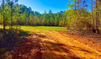 64 Stoneybrook Trl, Bogue Chitto, MS 39629