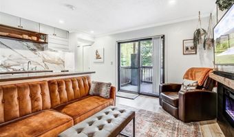 306 ILLINOIS GULCH Rd 113, Breckenridge, CO 80424