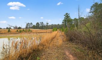 868 County Road 2920, Alba, TX 75410