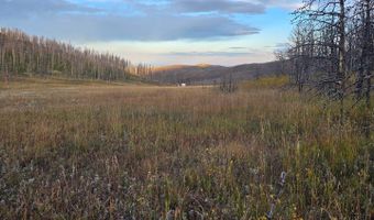 75 Sheep Horn Ct, Bellvue, CO 80512