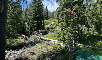 Nhn Cataract Creek Road, Basin, MT 59631