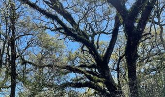 FM 521 TX, Angleton, TX 77515