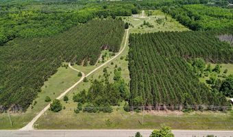 303 Westwood Rd NW, Alden, MI 49612