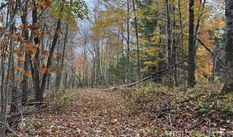 Rominger Road, Banner Elk, NC 28604