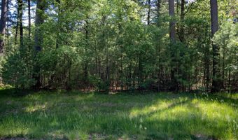 19 Th Pass Lot 132, Arkdale, WI 54613
