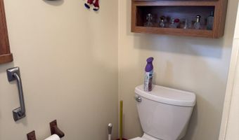 6955 Cedar Rd, Alanson, MI 49706