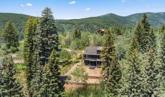 1340 Mclaughlin Ln, Basalt, CO 81621