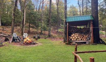170 E Shore Dr, Adirondack, NY 12808