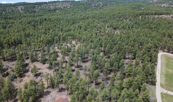 135 Meadow Ln, Bayfield, CO 81122