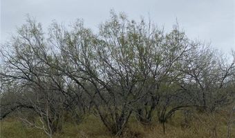 212 CR 2101, Alice, TX 78332