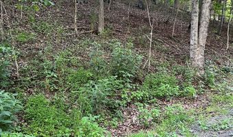 Lot 161 LEE RD, Basye, VA 22810