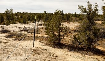 1600 S, Apple Valley, UT 84737
