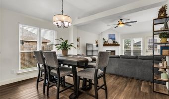 305 Ohara, Anna, TX 75409