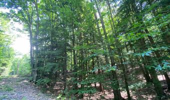 Tyler Way 34, Bath, NH 03740