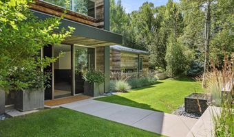 1180 Black Birch Dr, Aspen, CO 81611