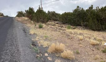 Xxx Stanford Drive 72, Concho, AZ 85924