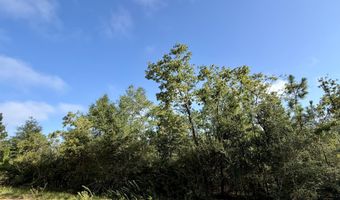 Rincon Street lot 2 & 3, Alford, FL 32420
