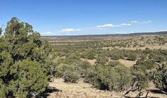 006 N8604, Concho, AZ 85924