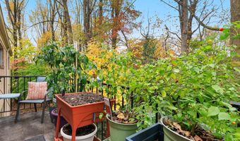 10607 MONTROSE Ave M-202, Bethesda, MD 20814