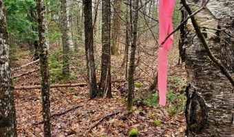 0 Ryan Rd, Baileyville, ME 04694