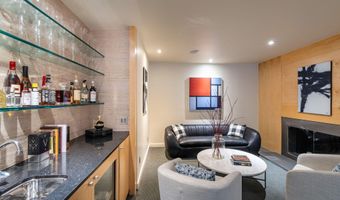 506 W Hallam St, Aspen, CO 81611
