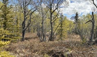 B005 Packsaddle Road, Chickaloon, AK 99674