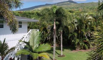 51 Kapohue Rd, Hana, HI 96713