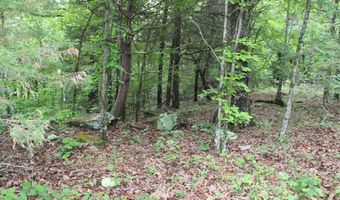 E Mountain Road, Bee Branch, AR 72013