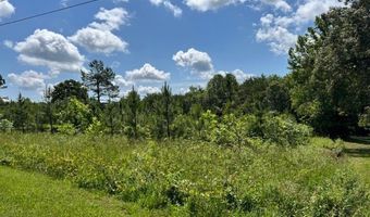 Mini Ball Lane, Appomattox, VA 24522