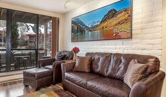 313 VINE St 313, Aspen, CO 81611