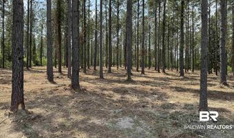 Ronald Sanks Road, Bay Minette, AL 36507