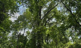 Rutherford Road, Batesville, MS 38606