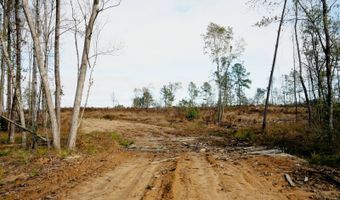 US Hwy 98, Beaumont, MS 39423