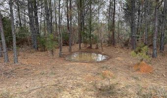 34655 Co Rd 49, Beaverton, AL 35544