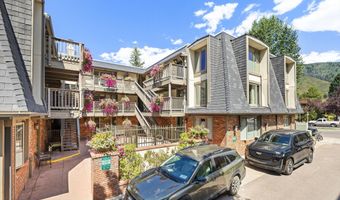 731 E Durant Ave Unit 21, Aspen, CO 81611