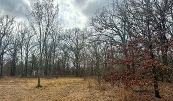 9696 Fm-515, Alba, TX 75410