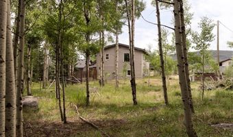 133 Gold Run Rd, Alma, CO 80440
