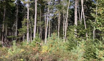 Lot 5 Bluff Road, Bar Harbor, ME 04609