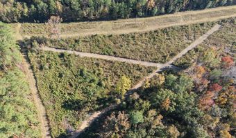 TBD Binnicker Bridge Road, Bamberg, SC 29003