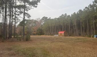 735 Log Cabin Rd, Arapahoe, NC 28510