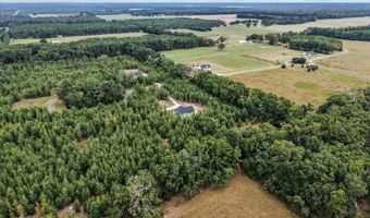 4899 36th St, Bell, FL 32619