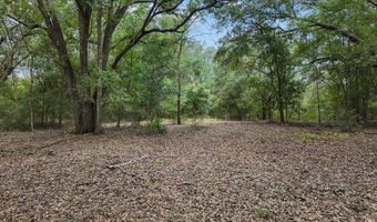 3670 25th Cir, Bell, FL 32619