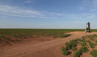 FM 597, Abernathy, TX 79311