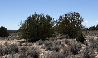 TBD 205-70-002, Chambers, AZ 86502