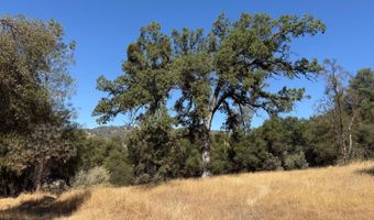 41902 Woodward Way, Ahwahnee, CA 93601