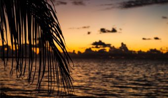 1216 S MISSOURI Ave 220, Clearwater, FL 33756