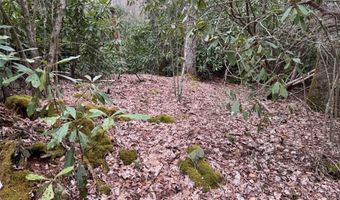 62 Acres Buckeye Ridge Rd, Beech Mountain, NC 28604