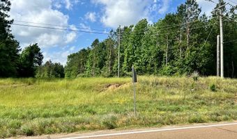 LOT 7 HWY 24, Centreville, MS 39631