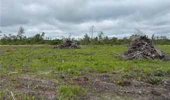 9 219 Ac Rhine Alma GA Rd, Alma, GA 31510
